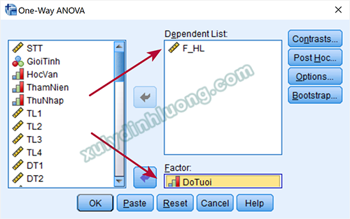 One-way ANOVA: Phân tích khác biệt trung bình trong SPSS