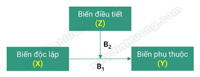 Biến trung gian, biến điều tiết và biến kiểm soát
