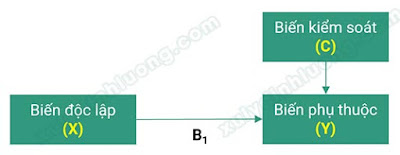 Biến trung gian, biến điều tiết và biến kiểm soát