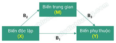 Biến trung gian, biến điều tiết và biến kiểm soát