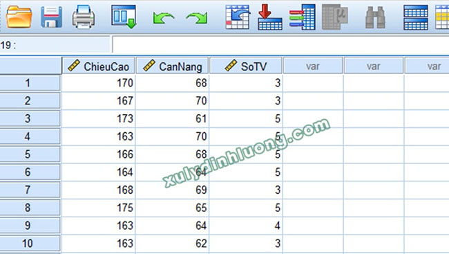 Hướng dẫn khai báo biến và nhập dữ liệu trong SPSS