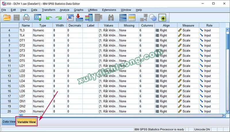 Hướng dẫn khai báo biến và nhập dữ liệu trong SPSS