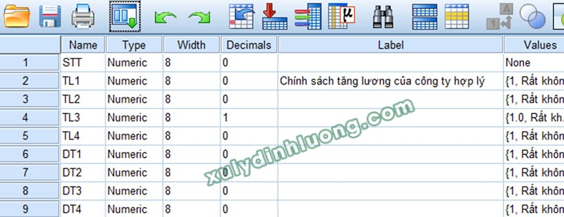 Hướng dẫn khai báo biến và nhập dữ liệu trong SPSS