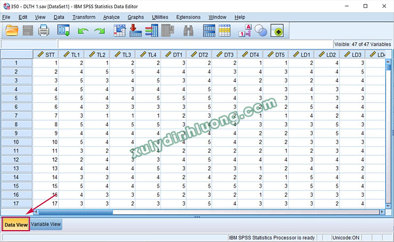 Hướng dẫn khai báo biến và nhập dữ liệu trong SPSS