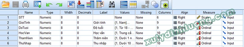 Hướng dẫn khai báo biến và nhập dữ liệu trong SPSS
