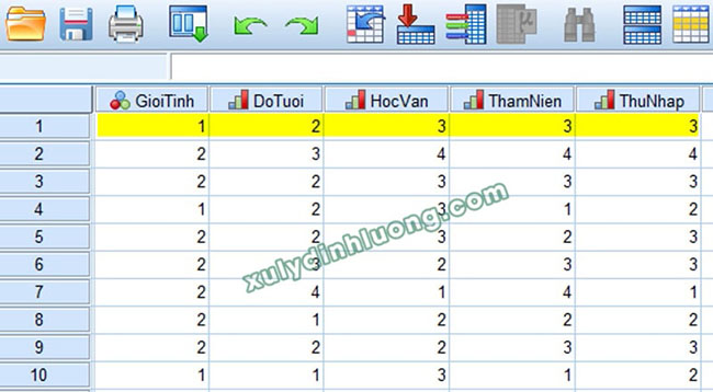xử lý số liệu bằng SPSS