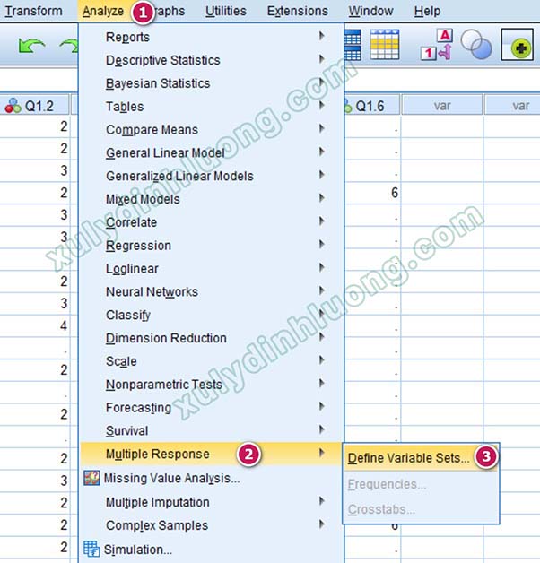 Hướng dẫn khai báo biến và nhập dữ liệu trong SPSS
