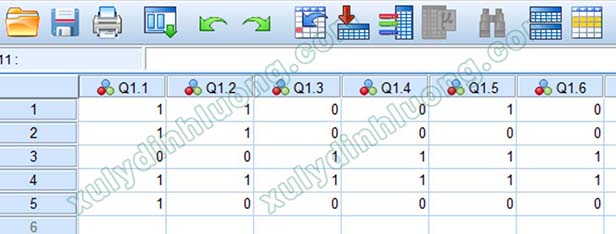 Hướng dẫn khai báo biến và nhập dữ liệu trong SPSS