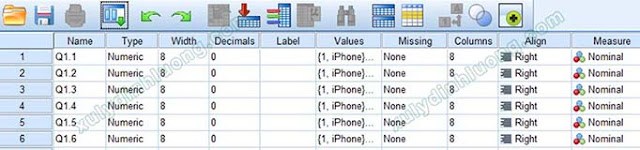 Hướng dẫn khai báo biến và nhập dữ liệu trong SPSS