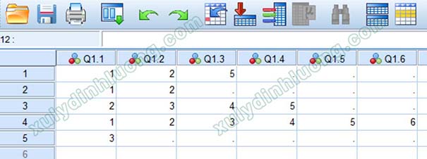 Hướng dẫn khai báo biến và nhập dữ liệu trong SPSS