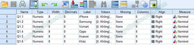 Hướng dẫn khai báo biến và nhập dữ liệu trong SPSS