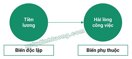 EFA cho mô hình nghiên cứu có biến trung gian, biến điều tiết