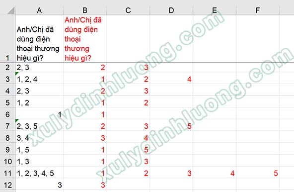 Nhập dữ liệu câu hỏi nhiều đáp án từ Google Forms vào SPSS