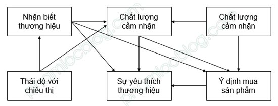 EFA: Nên chạy chung hay riêng biến độc lập với biến phụ thuộc?