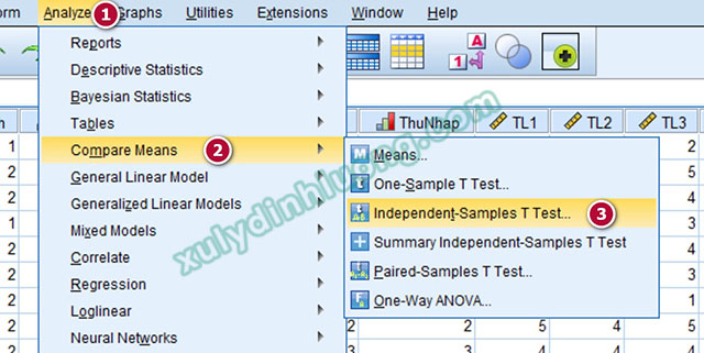 Kiểm định Independent Sample T Test bằng SPSS