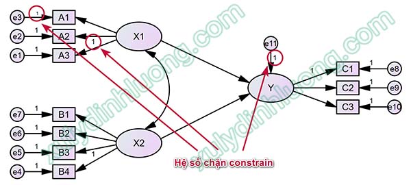 Biểu diễn các biến của mô hình trên sơ đồ AMOS