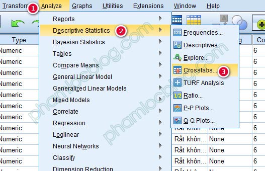 Kiểm định Chi bình phương trong bảng chéo Crosstab bằng SPSS