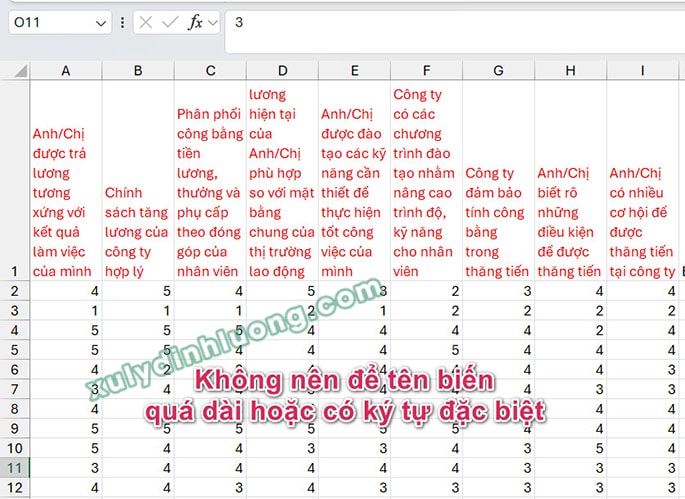 loi nhap du lieu spss amos smartpls-4_e