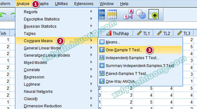 One-Sample T-Test trong SPSS