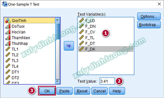 One-Sample T-Test trong SPSS