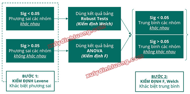 One-way ANOVA: Phân tích khác biệt trung bình trong SPSS