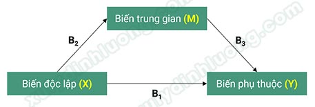 phan-tich-bien-trung-gian-mediator (1)