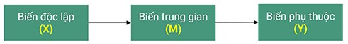 Cách xử lý biến trung gian (Mediator) trong AMOS