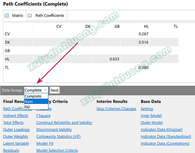 Phân tích cấu trúc đa nhóm (Multigroup Analysis – MGA) bằng SmartPLS 3