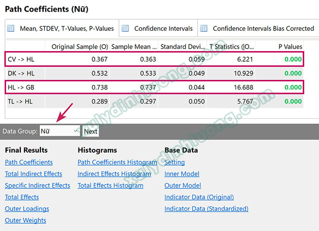 Phân tích cấu trúc đa nhóm (Multigroup Analysis – MGA) bằng SmartPLS 3