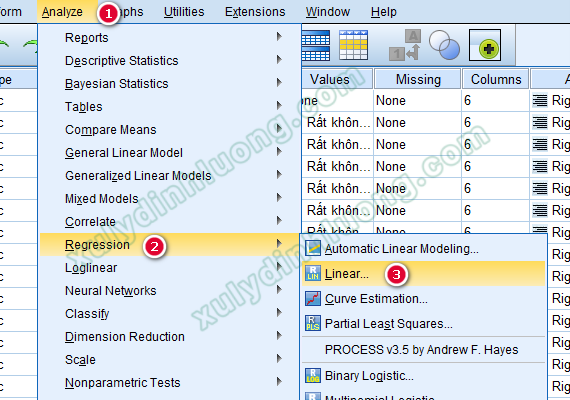 xử lý số liệu bằng SPSS