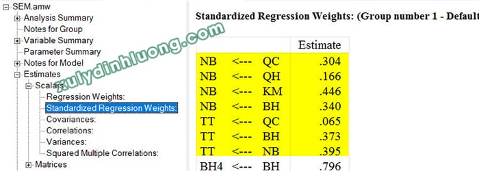 Phân tích mô hình cấu trúc tuyến tính (SEM) bằng AMOS