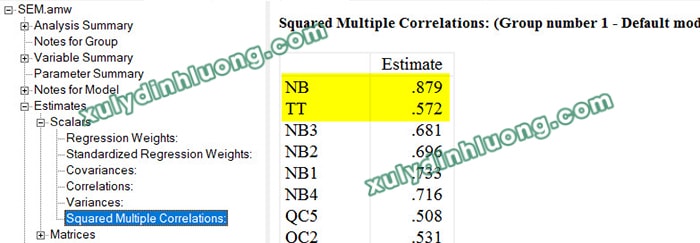 Phân tích mô hình cấu trúc tuyến tính (SEM) bằng AMOS