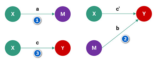 Phân tích vai trò biến trung gian bằng macro PROCESS trong SPSS