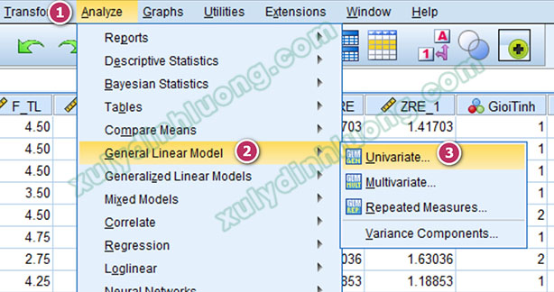 Phân tích sự khác biệt trung bình Two-Way ANOVA trong SPSS