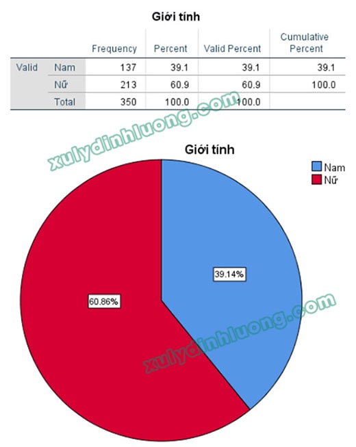 Hướng dẫn nhận xét bảng số liệu SPSS 