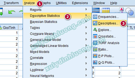 xử lý số liệu bằng SPSS