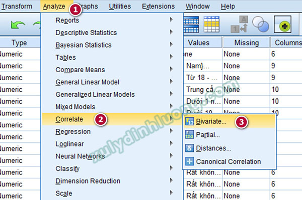 xử lý số liệu bằng SPSS