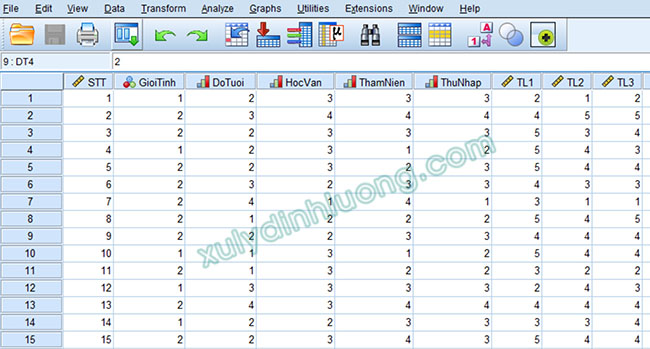 Import dữ liệu Excel, CSV, SPSS vào SmartPLS 4