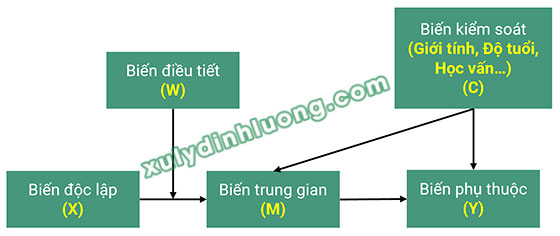 xay dung mo hinh nghien cuu